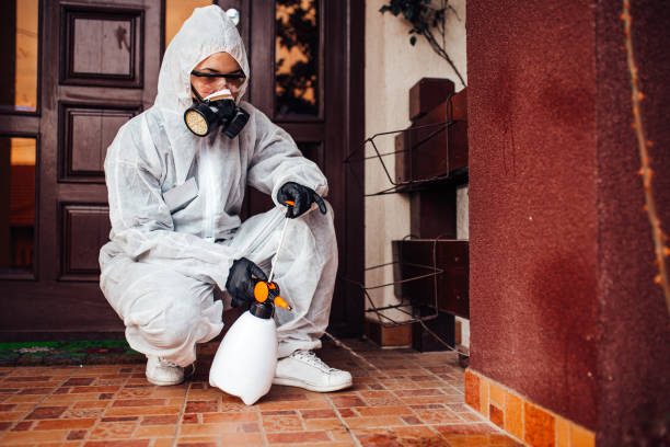 Attic and Crawl Space Rodent Treatment in Shackle Island