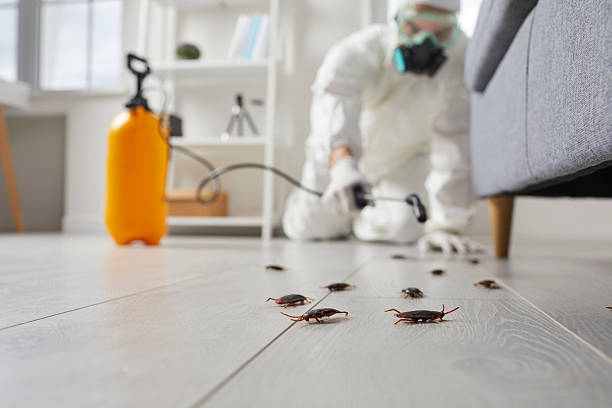 Commercial Rodent Management in Shackle Island